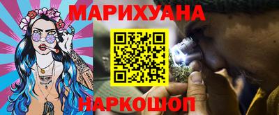 индика Будённовск