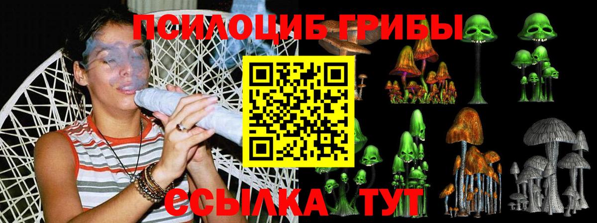 Галлюциногенные грибы ЛСД Прохладный