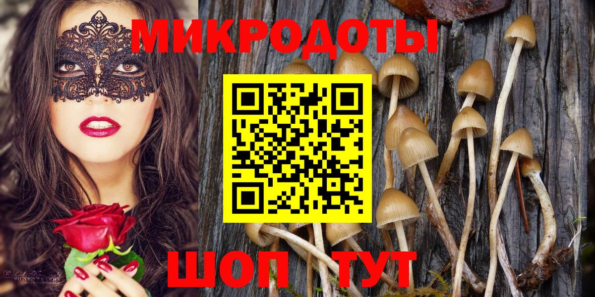 Псилоцибиновые грибы GOLDEN TEACHER  Вход с VPN  Прохладный 
